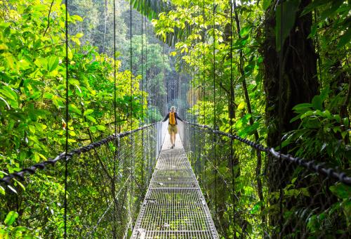 Person walking across hanging bridge in a rainforest in Costa Rica